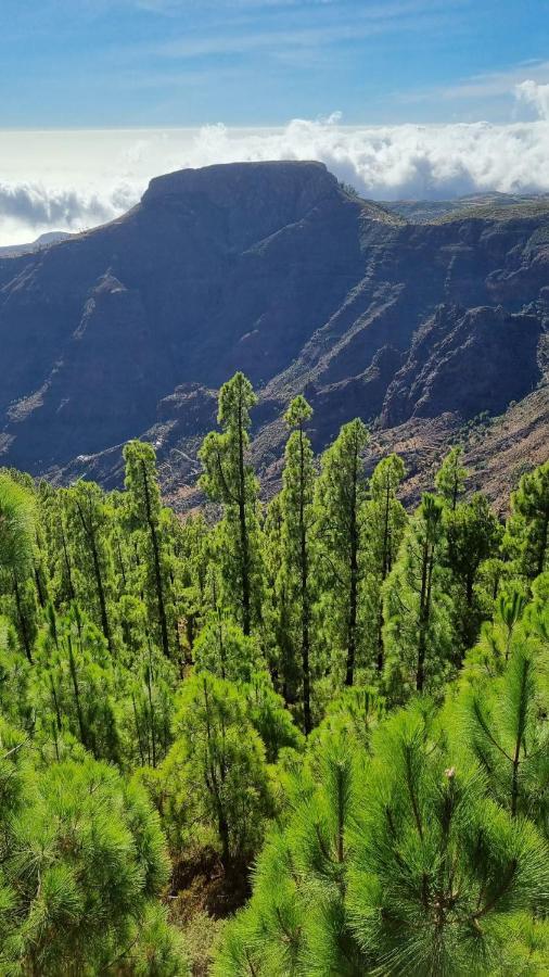 דירות San Sebastián de la Gomera Casa Doris מראה חיצוני תמונה